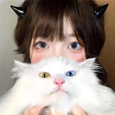 狼之谜
